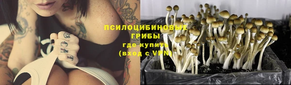 амф Алексин