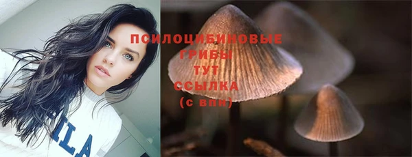 мефедрон мука Новодвинск