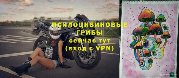 спиды Новокубанск