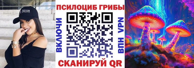 как найти   Арамиль  Галлюциногенные грибы Cubensis 